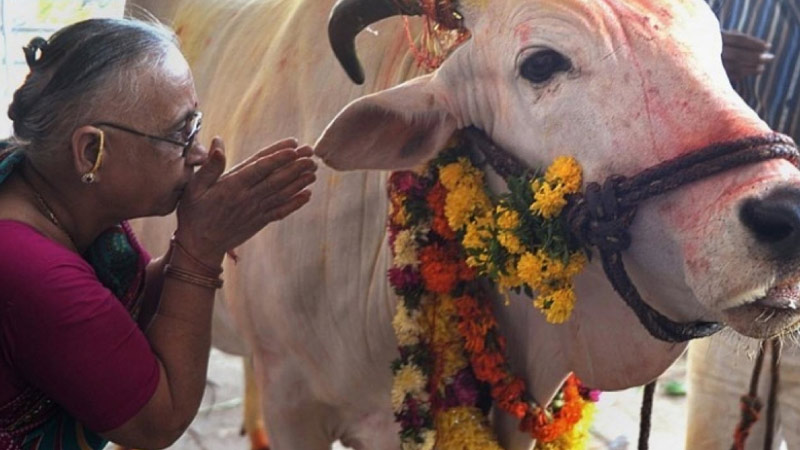 sim du lịch ấn độ 4