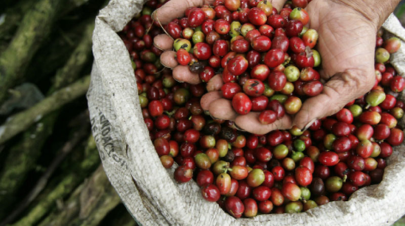 sim du lịch colombia 3