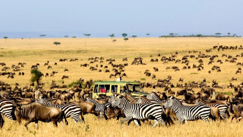 sim du lịch cộng hòa công-gô 5