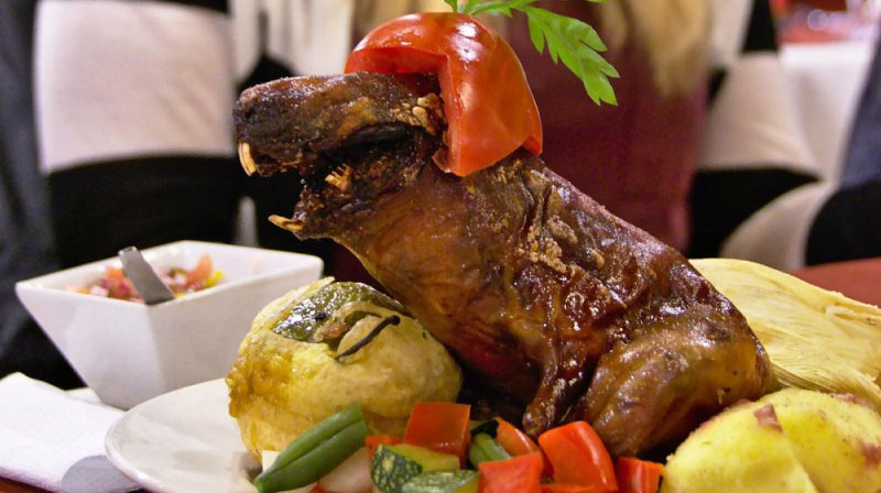 sim du lịch Ecuador 1