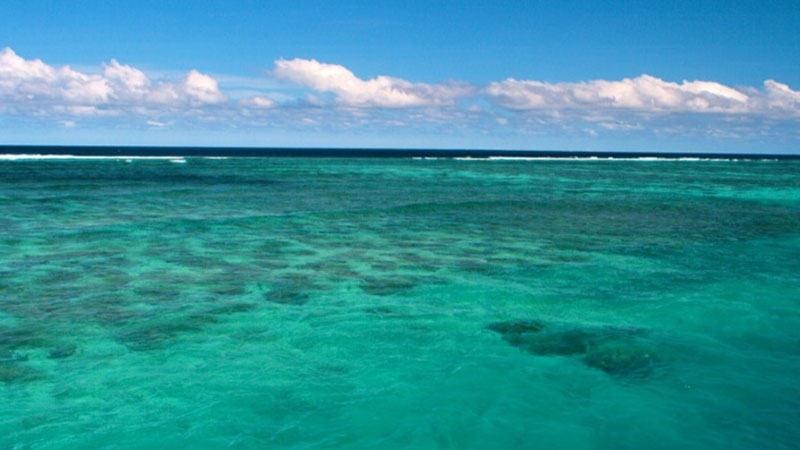 sim du lịch Fiji 2