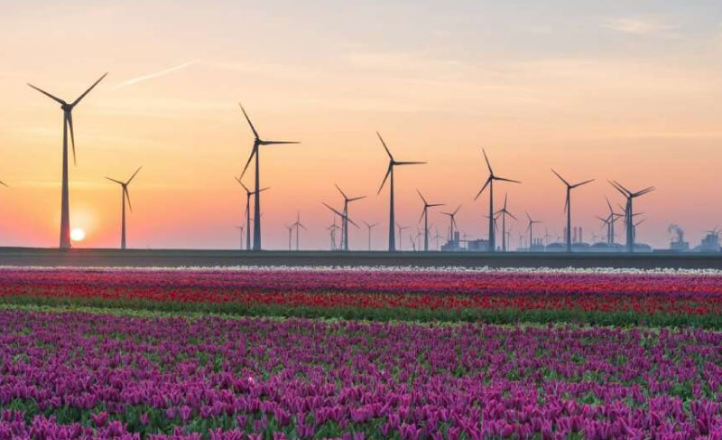 Sim du lịch Hà Lan (Netherlands) 1