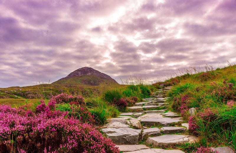 Sim du lịch Ireland 3