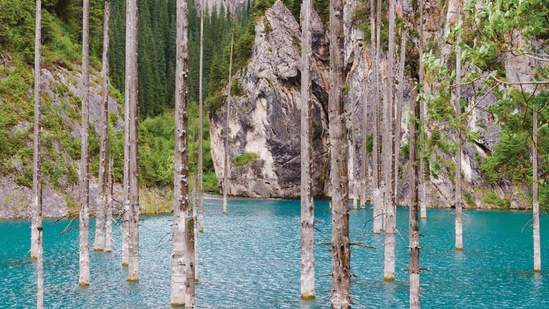 sim du lịch kazakhstan 2