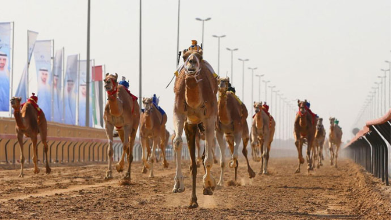 sim du lịch kuwait 5