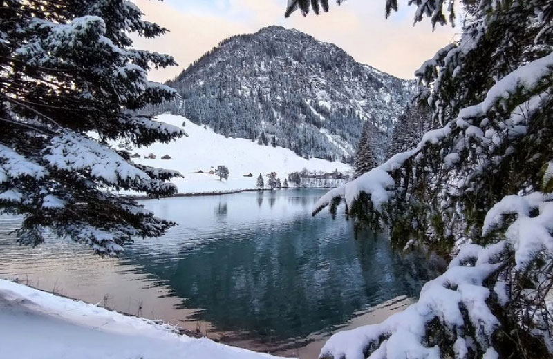 Sim du lịch Liechtenstein 3