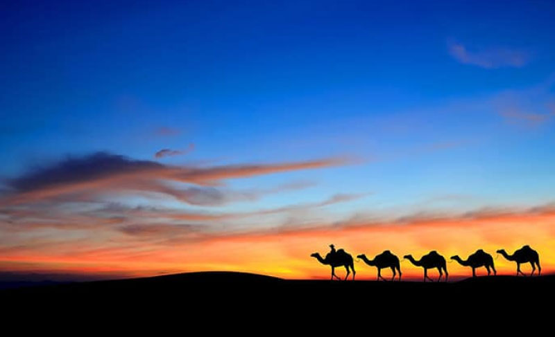 Sim du lịch Ma-rốc (Morocco) 4