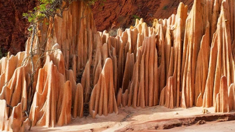 sim du lịch Madagascar Republic 2