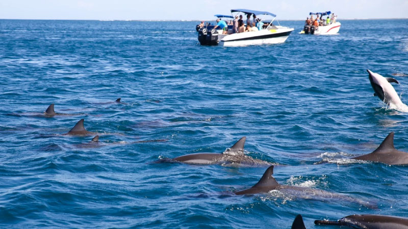 sim du lịch Mauritius 3