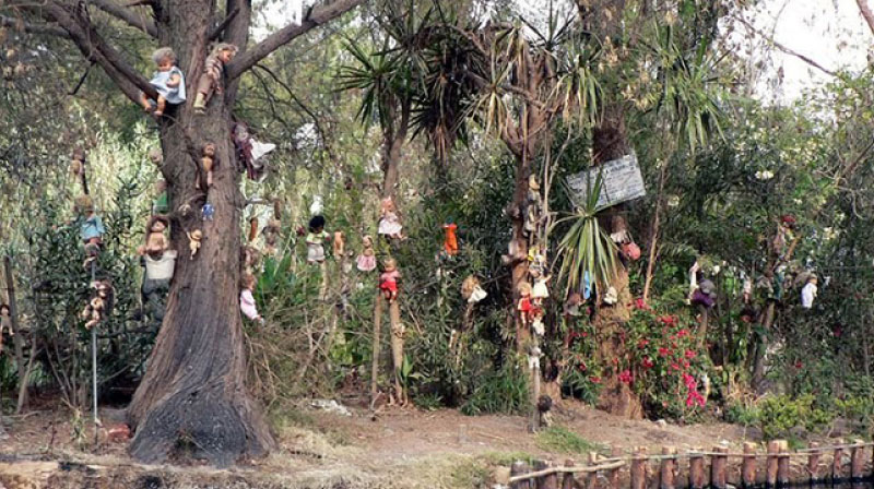 sim du lịch Mexico 4