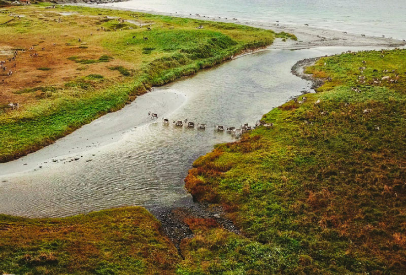 Sim du lịch Na Uy (Norway) 4