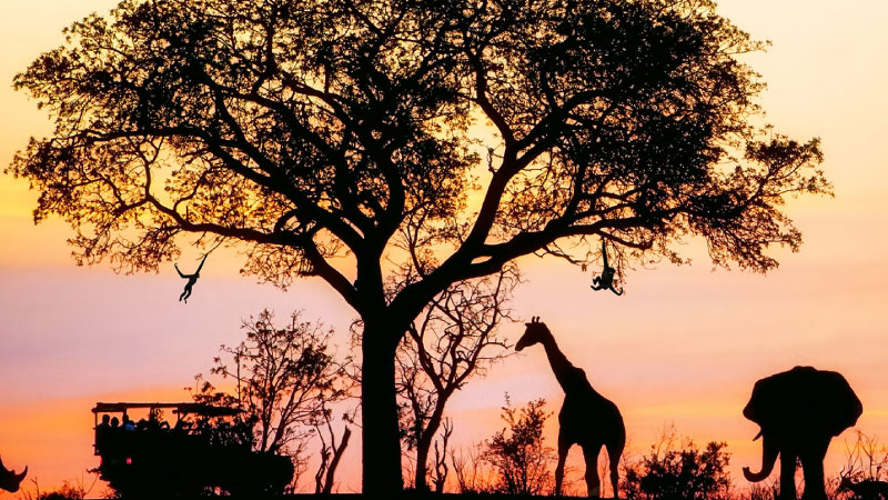 sim du lịch Nam Phi 2