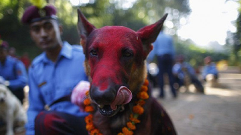 sim du lịch nepal 2