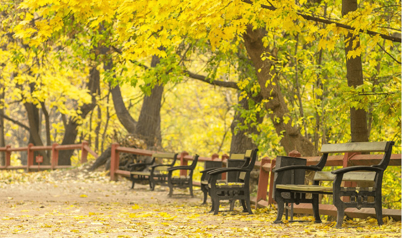 Sim du lịch Nga (Russia) 4