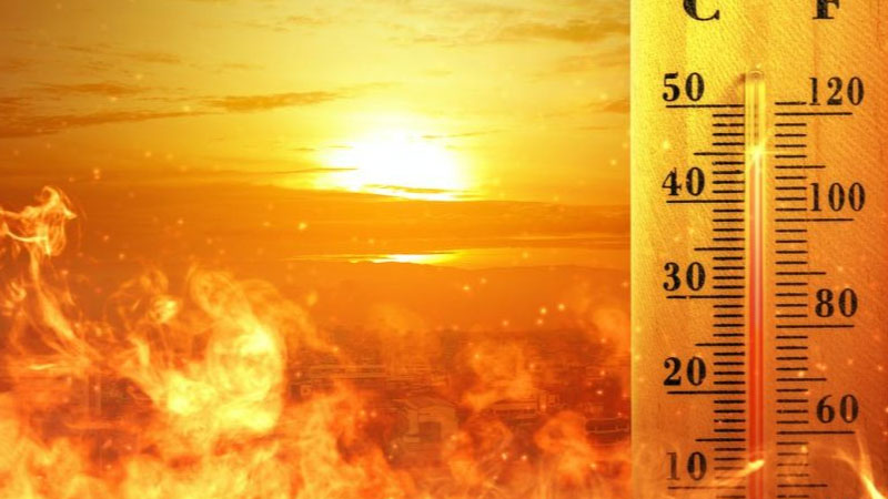 sim du lịch Nigeria 1