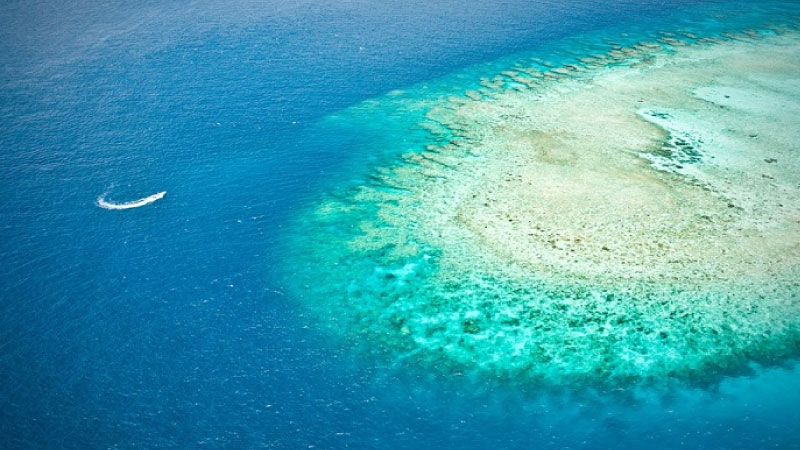 sim du lịch Papua New Guinea 2