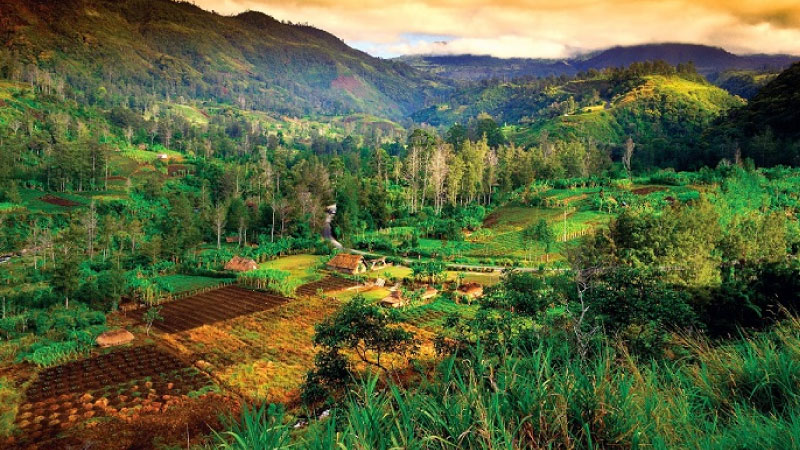 sim du lịch Papua New Guinea 4