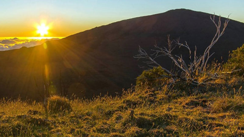 sim du lịch Reunion 3