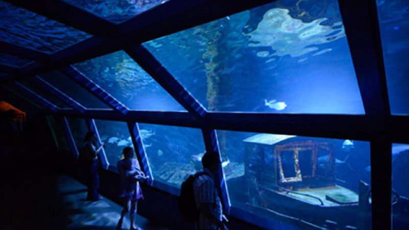 sim du lịch Reunion 4