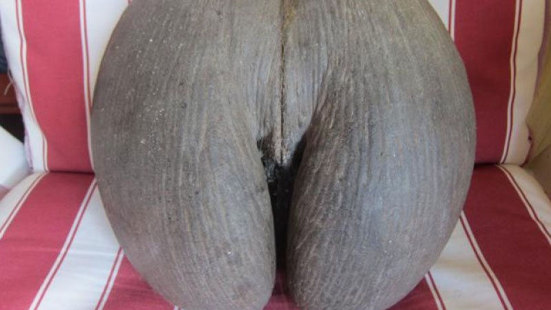 sim du lịch Seychelles 3