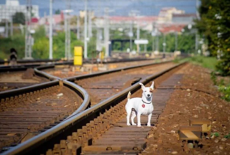 Sim du lịch Slovakia 4