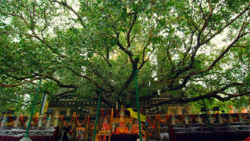 sim du lịch sri lanka 3