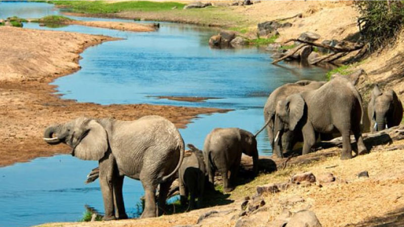 sim du lịch Tanzania 4