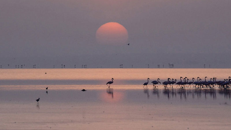 sim du lịch Tanzania 5