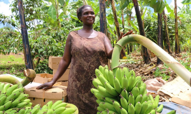 sim du lịch Uganda 2