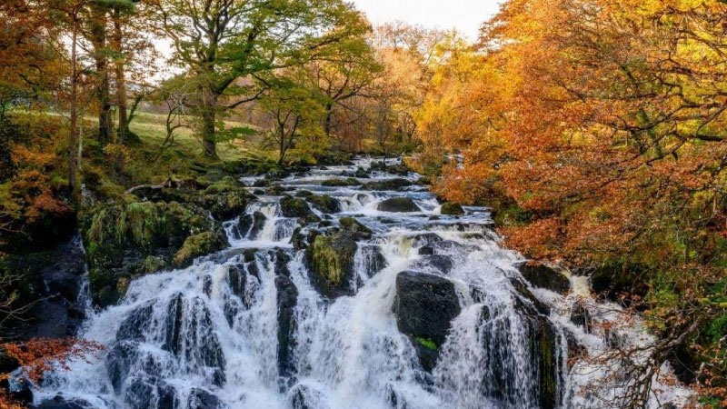 Sim du lịch Xứ Wales 5