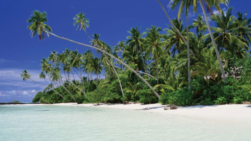 sim du lịch Western Samoa 3