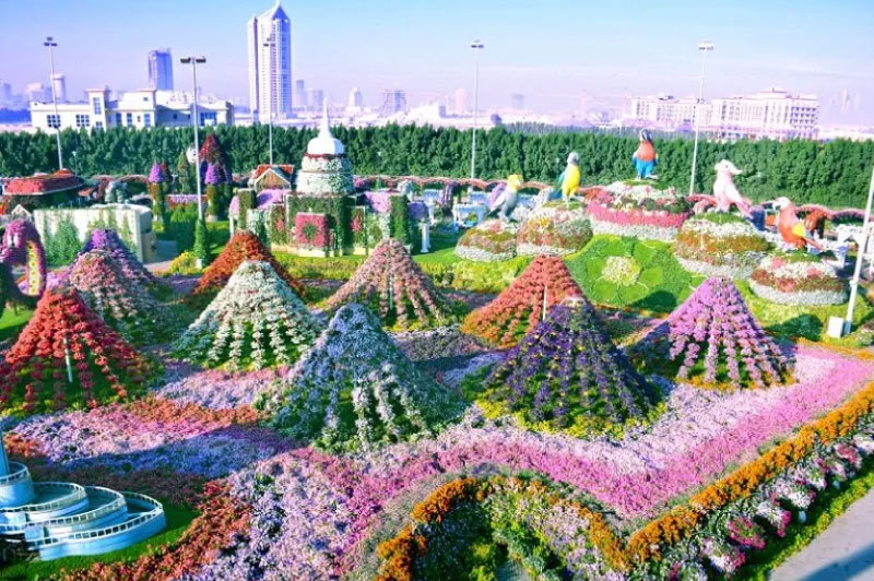 Sim du lịch Ả Rập Xê Út 5