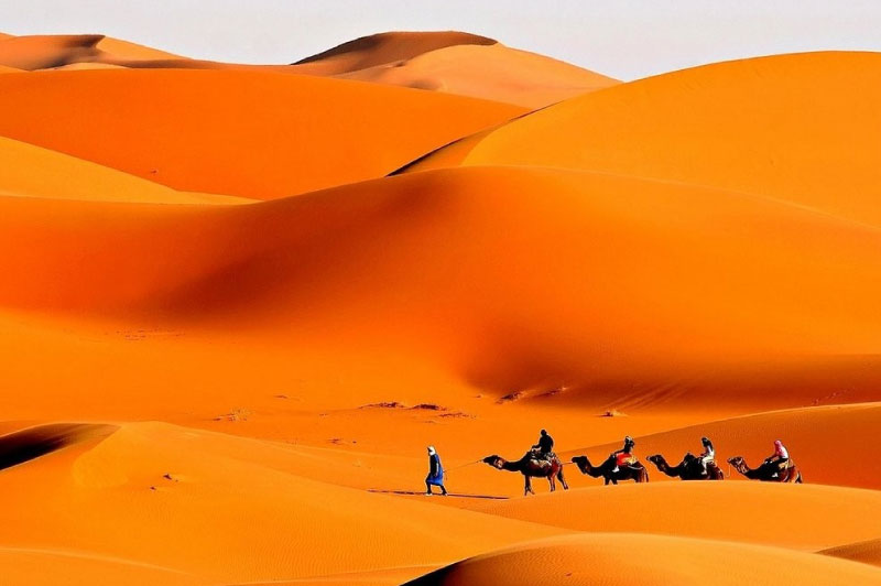 sim du lịch Ai Cập 3