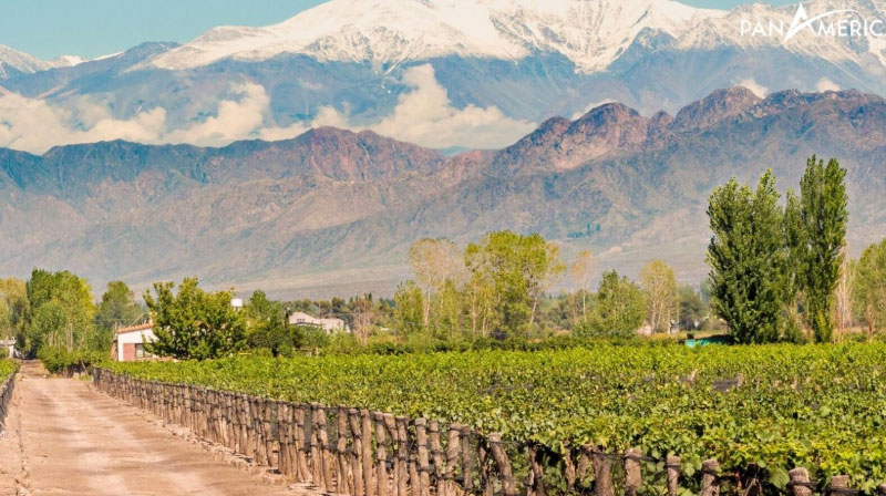 sim du lịch Argentina 4