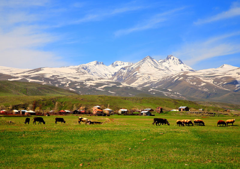 sim du lịch armenia 3