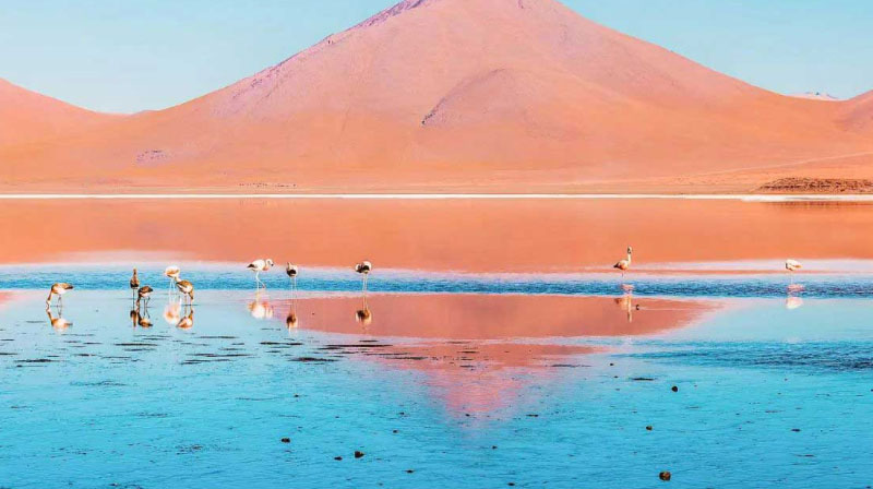 sim du lịch Bolivia 1