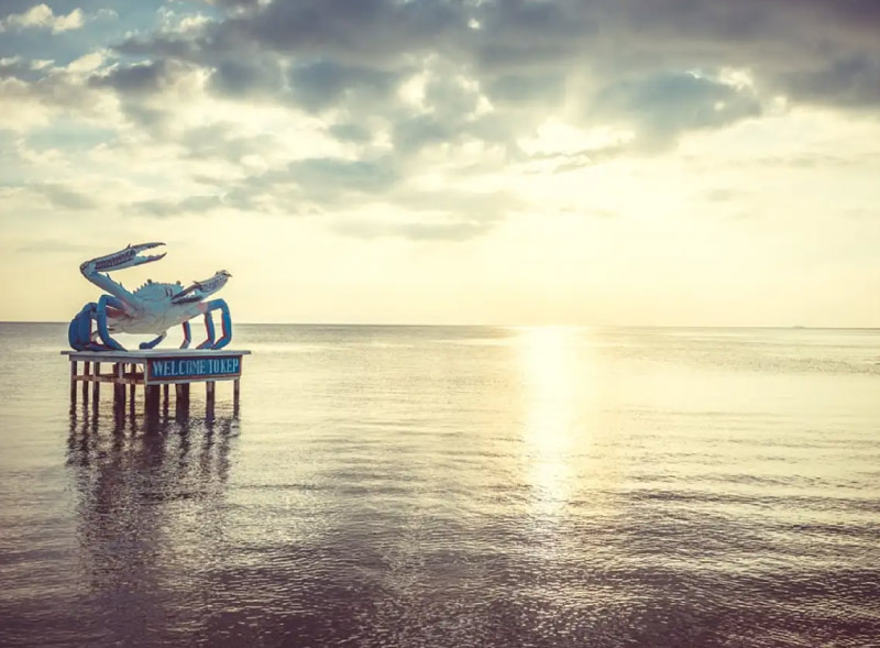 Sim du lịch Campuchia 4