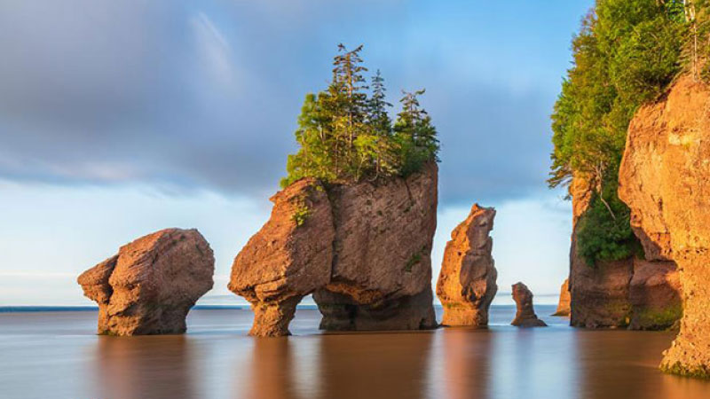 sim du lịch Canada 5