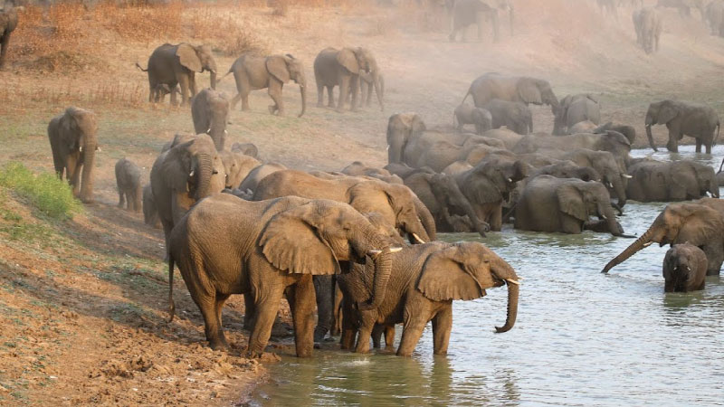 sim du lịch Chad 4