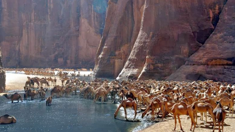 sim du lịch Chad 5