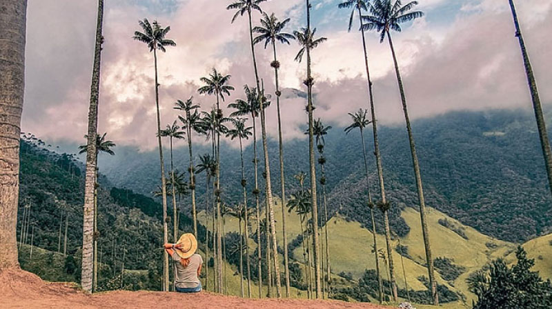 sim du lịch colombia 5