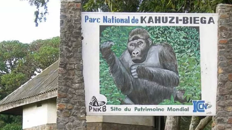 sim du lịch Cộng Hòa Dân Chủ Congo 5