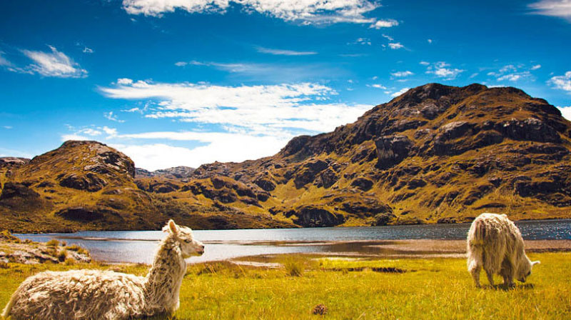 sim du lịch Ecuadora 2