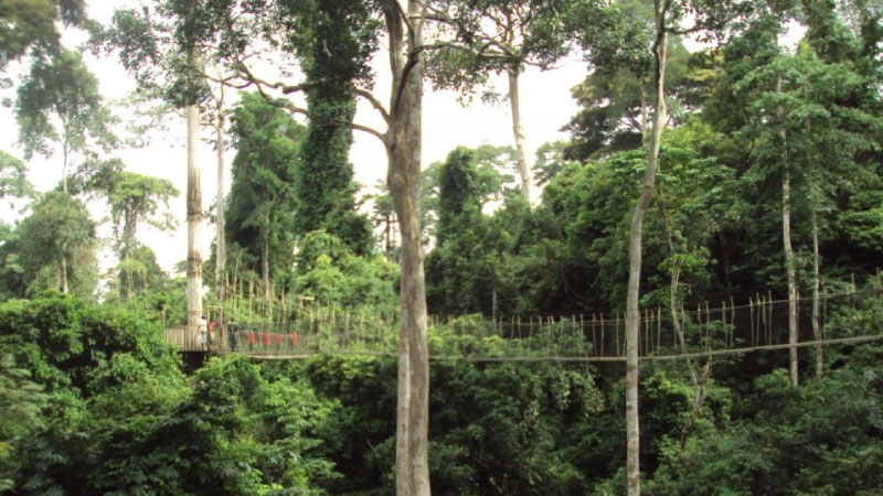 sim du lịch Ghana 3