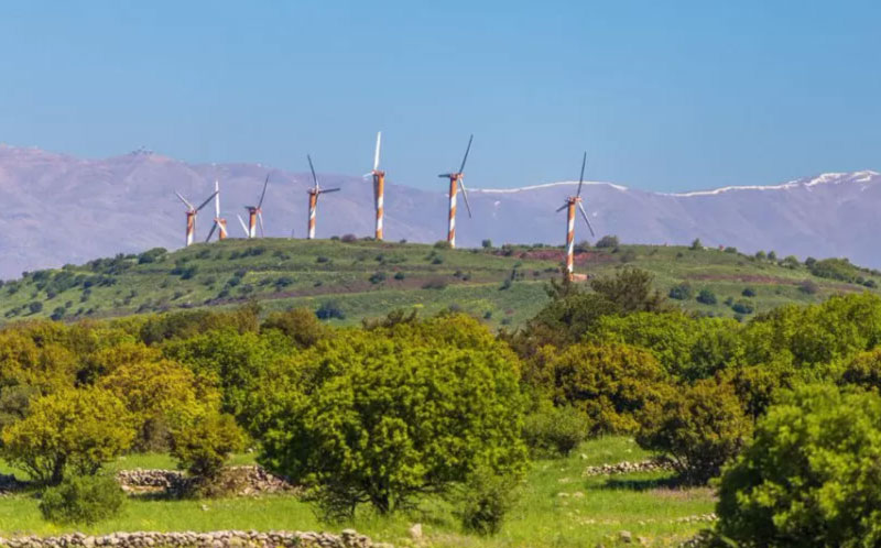 sim du lịch Israel 2