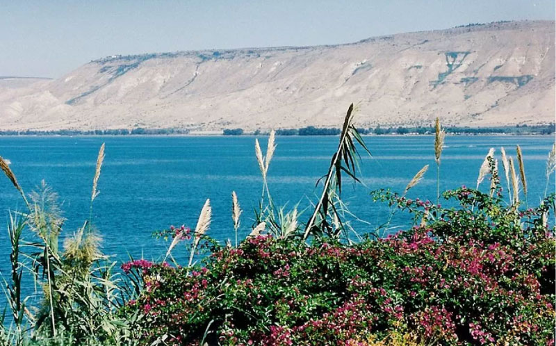 sim du lịch Israel 4