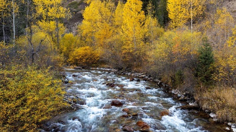 sim du lịch Kazakhstan 2