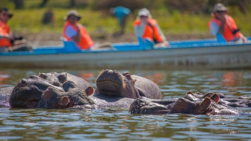 sim du lịch Kenya 4