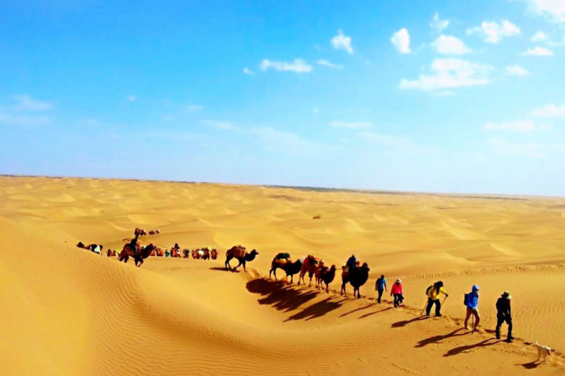 sim du lịch mông cổ 2