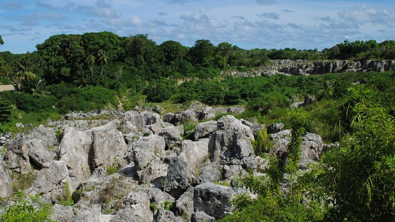 sim du lịch nauru 1